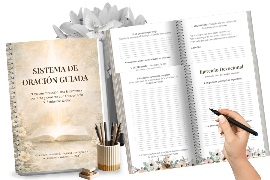 webp proposito